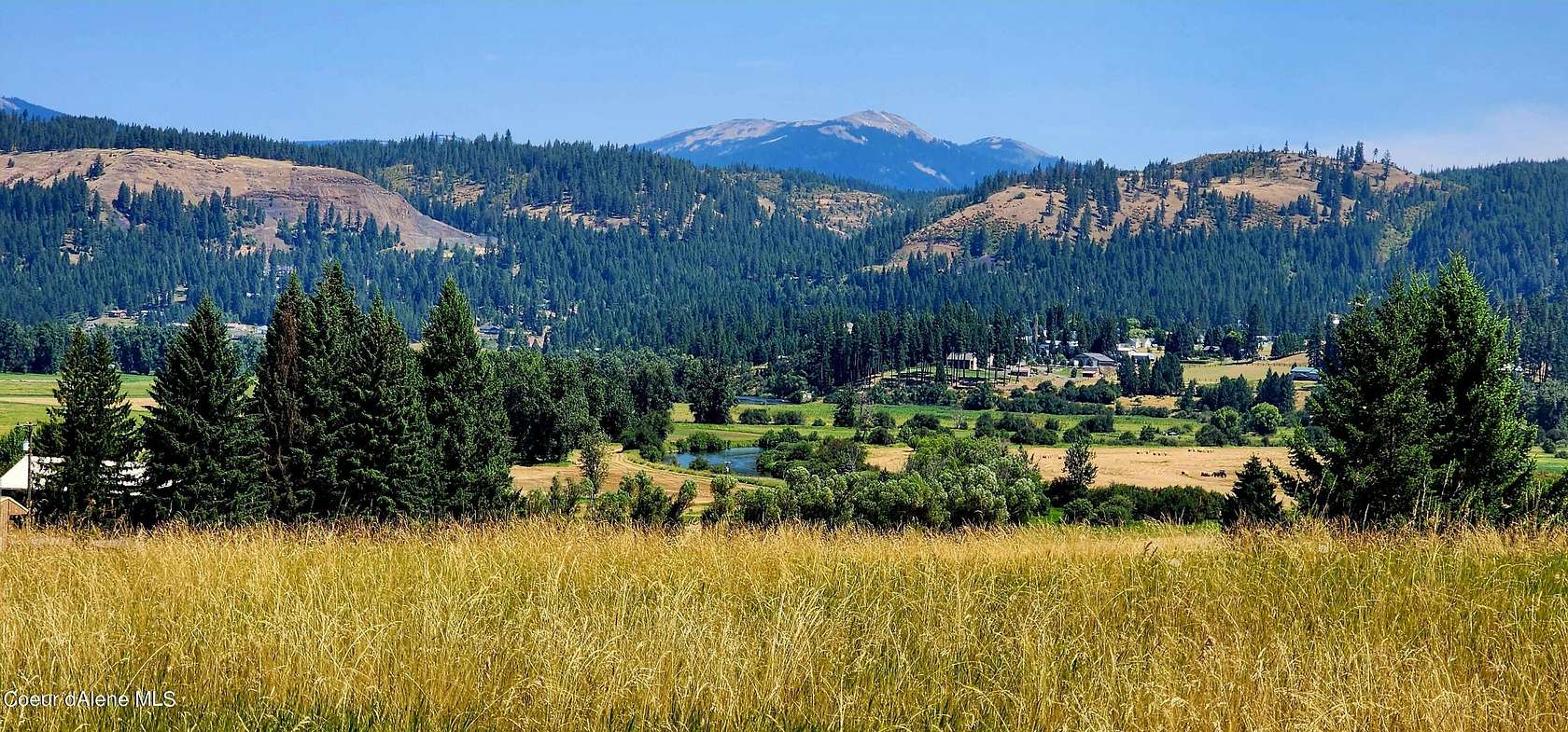 5.3 Acres of Land for Sale in St. Maries, Idaho