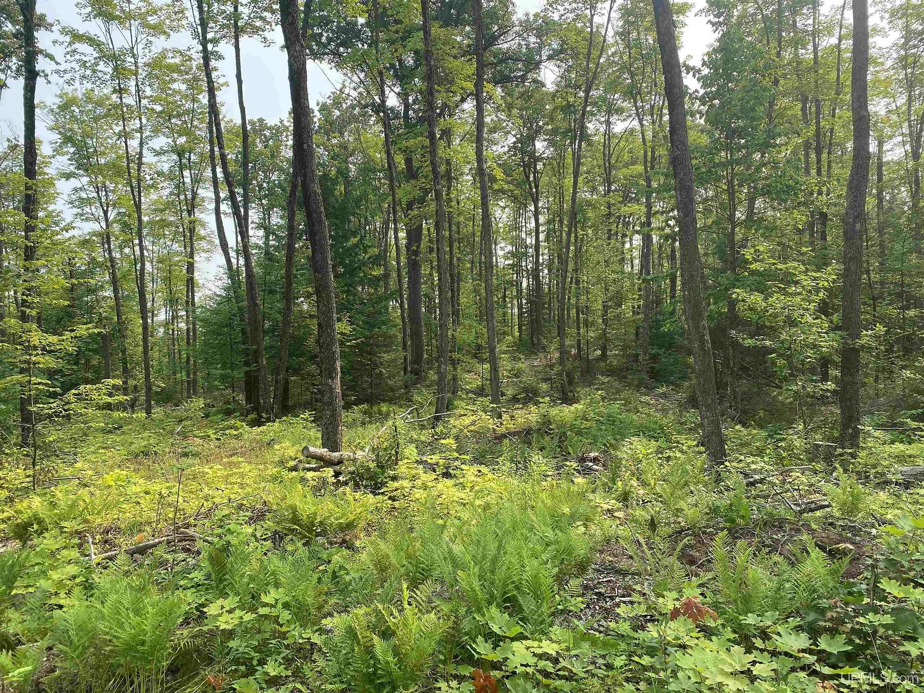 40 Acres of Recreational Land for Sale in Wakefield, Michigan