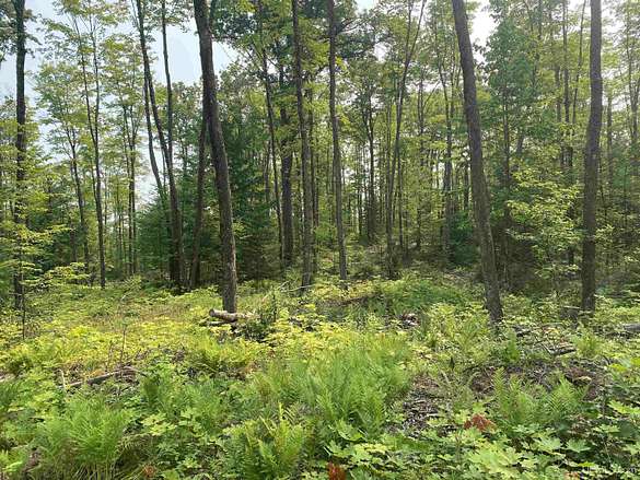 40 Acres of Recreational Land for Sale in Wakefield, Michigan