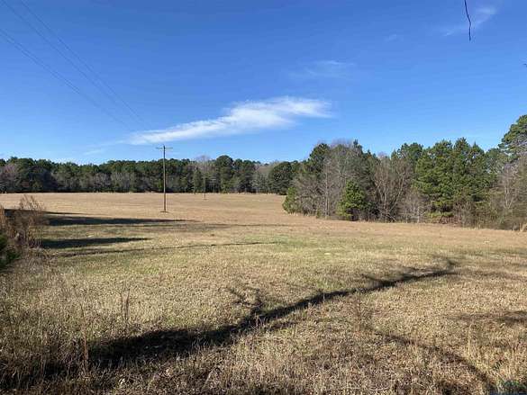 93 Acres of Recreational Land & Farm for Sale in Harleton, Texas