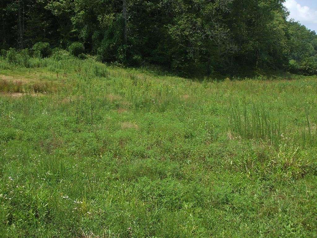 6 Acres of Residential Land for Sale in Tutor Key, Kentucky