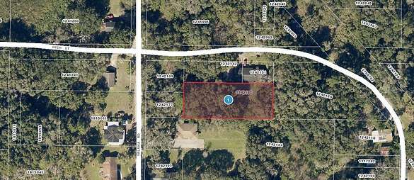 0.43 Acres of Residential Land for Sale in Yalaha, Florida