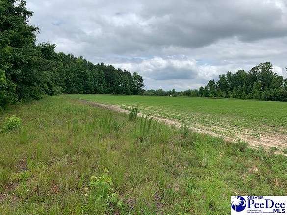 173 Acres of Recreational Land & Farm for Sale in Kingstree, South Carolina