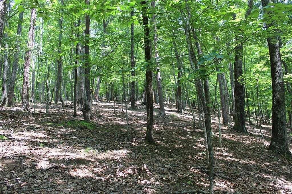 1.55 Acres of Residential Land for Sale in Jasper, Georgia
