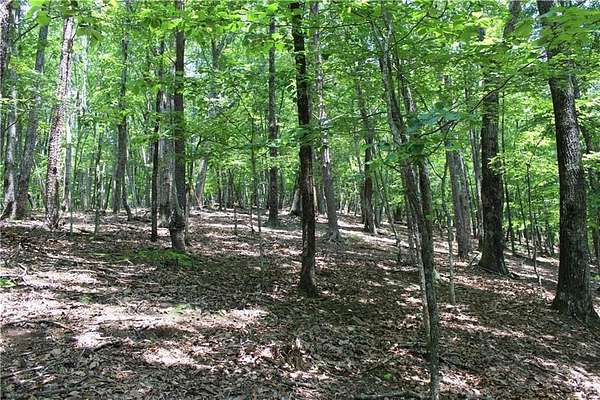 1.55 Acres of Residential Land for Sale in Jasper, Georgia