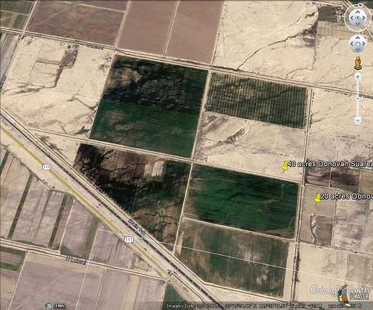39.5 Acres of Agricultural Land for Sale in Niland, California