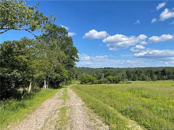 143 Acres of Agricultural Land for Sale in Bethel, New York
