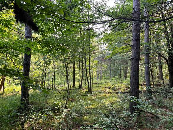 5.1 Acres of Land for Sale in Russell, New York