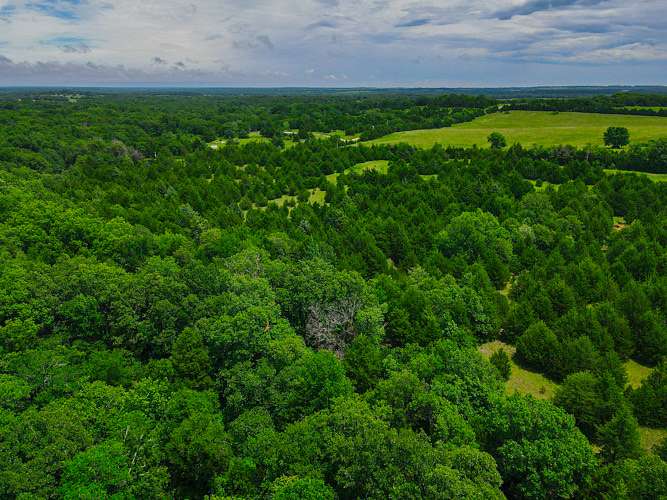 44.1 Acres of Land for Sale in Prague, Oklahoma LandSearch