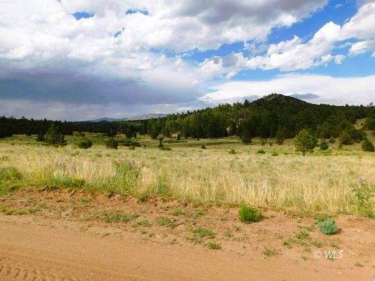 35.2 Acres of Agricultural Land for Sale in Westcliffe, Colorado