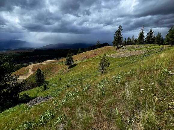 40.7 Acres of Recreational Land for Sale in Plains, Montana