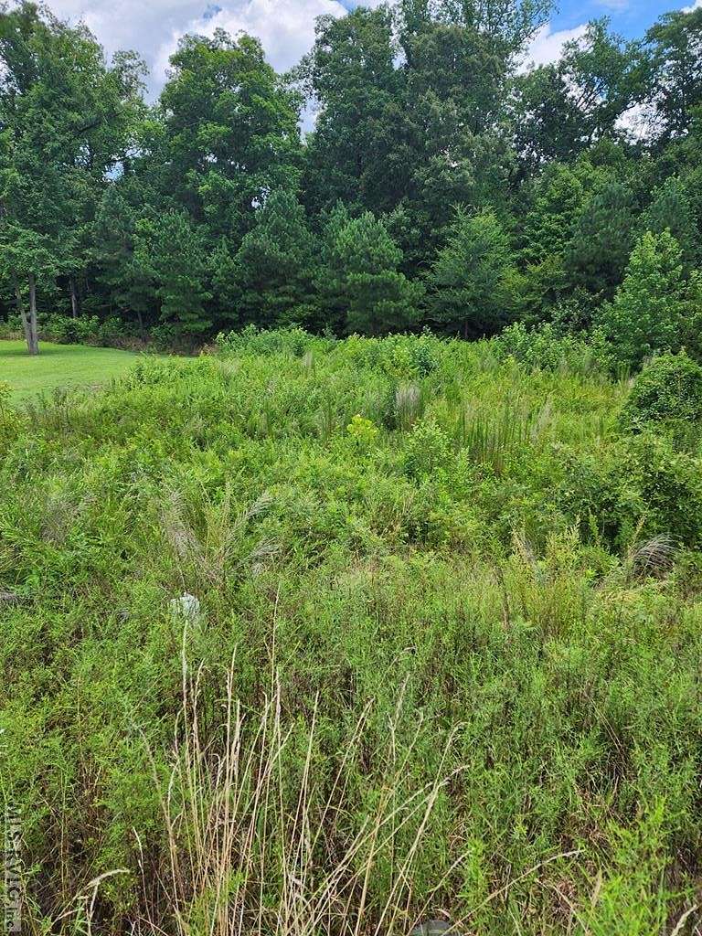 0.51 Acres of Residential Land for Sale in Roanoke Rapids, North Carolina