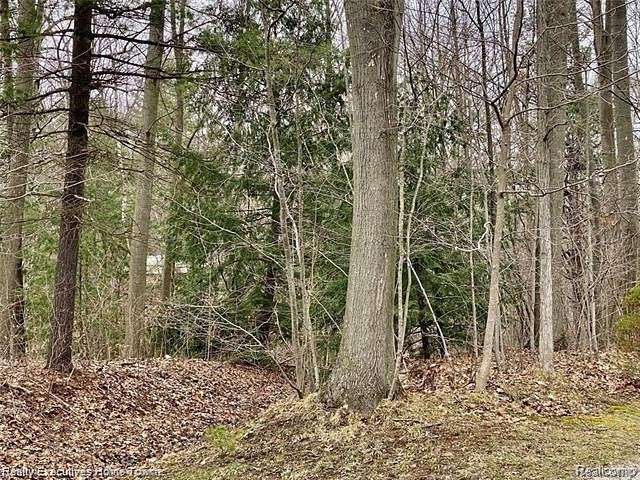 0.73 Acres of Residential Land for Sale in Clyde Township, Michigan