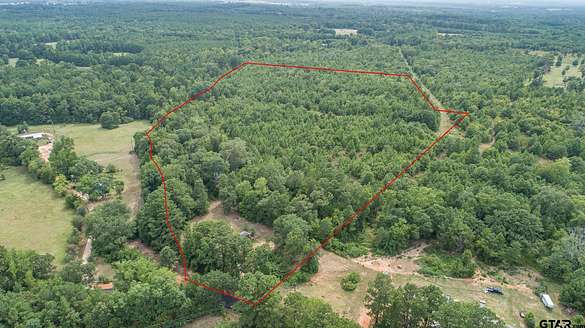30 Acres of Agricultural Land for Sale in Troup, Texas