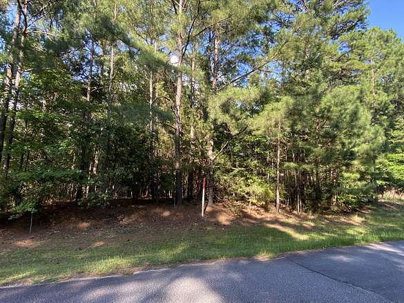 10 Acres of Residential Land for Sale in Lincolnton, Georgia