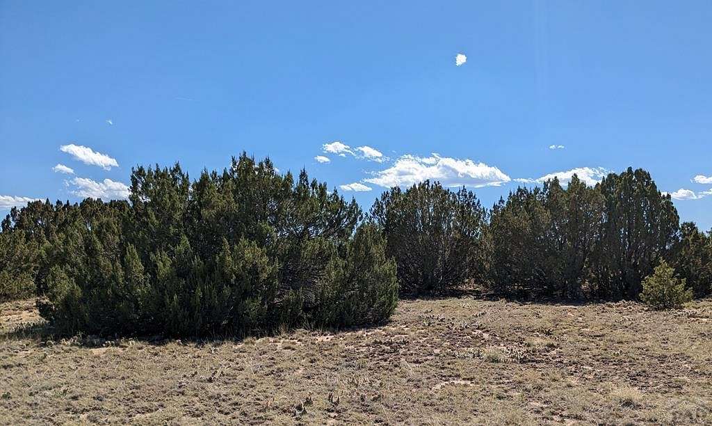 9.2 Acres of Residential Land for Sale in Walsenburg, Colorado