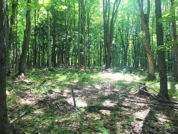 5.26 Acres of Land for Sale in Watersmeet, Michigan