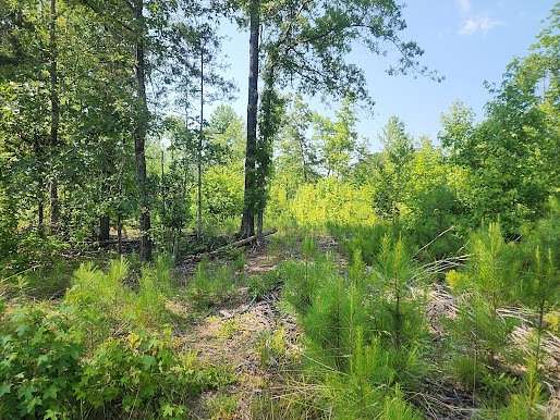 118 Acres of Land for Sale in Clinton, South Carolina