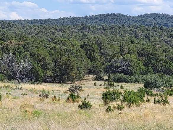 67.5 Acres of Recreational Land & Farm for Sale in Tijeras, New Mexico