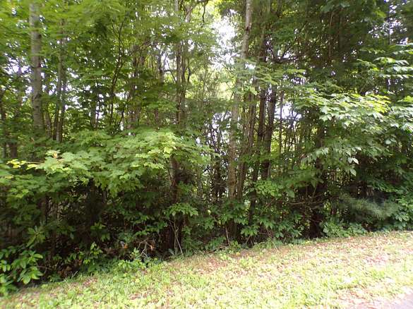 2.3 Acres of Residential Land for Sale in Mountain City, Tennessee