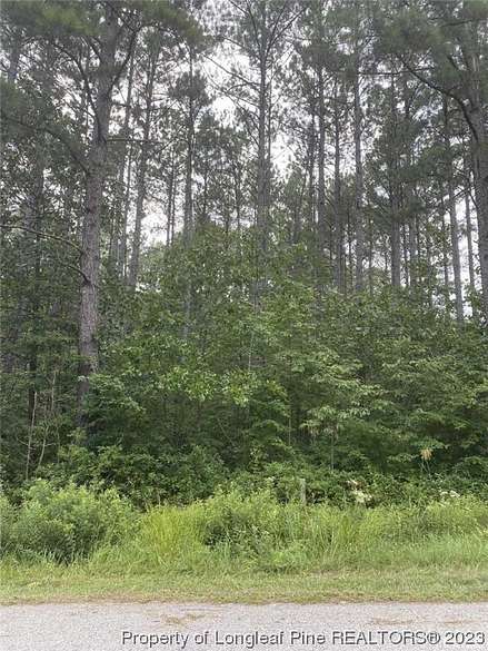 1 Acre of Residential Land for Sale in Bunnlevel, North Carolina