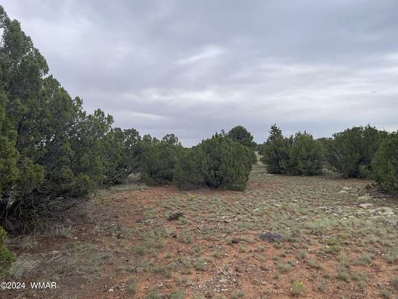 1.21 Acres of Residential Land for Sale in Concho, Arizona