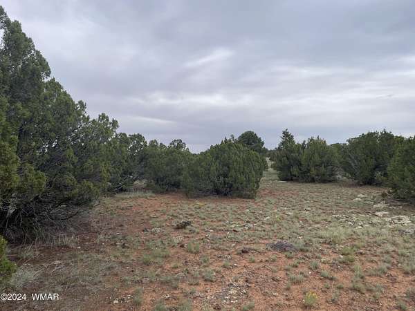 1.2 Acres of Residential Land for Sale in Concho, Arizona