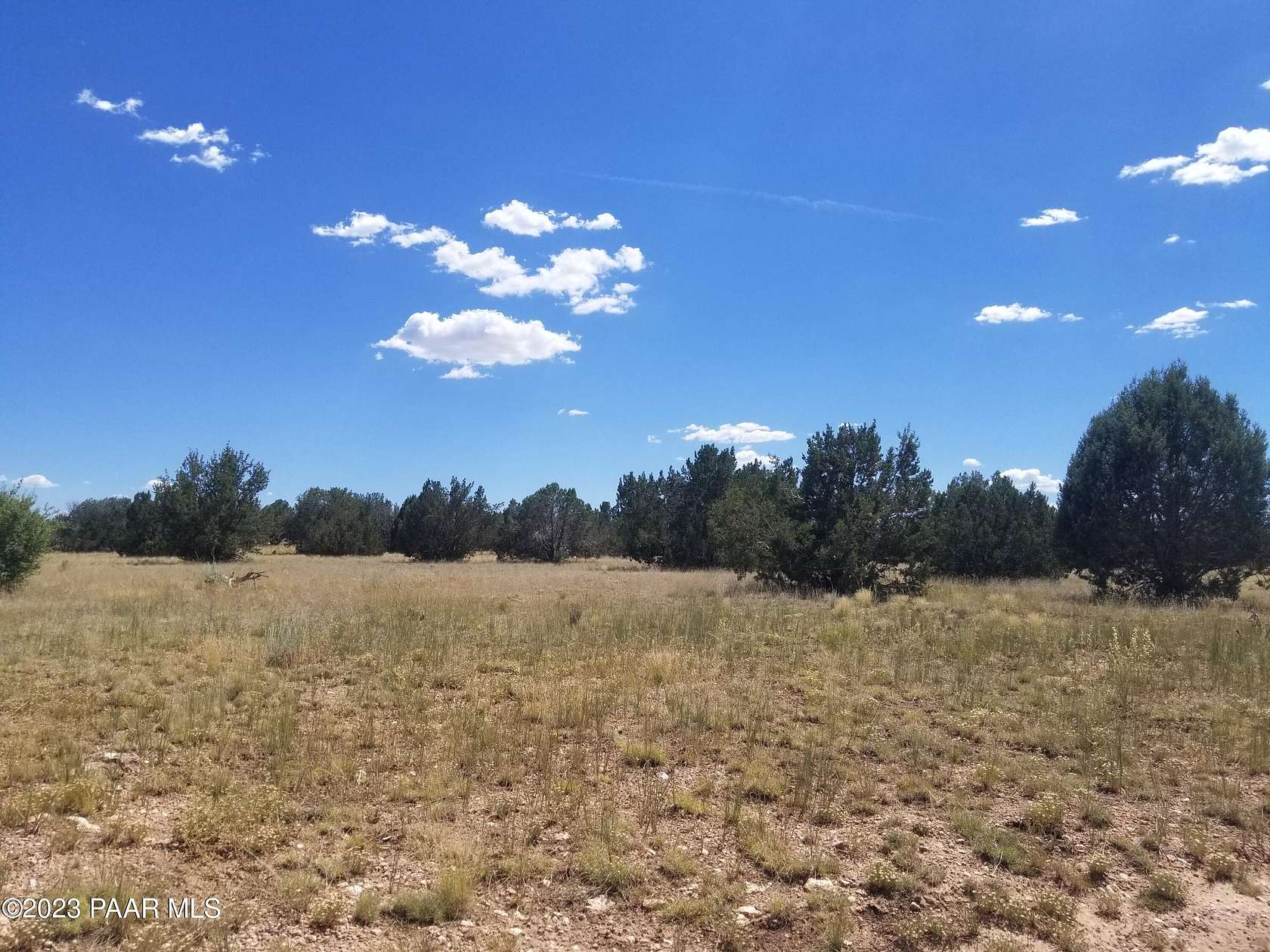 20.8 Acres of Recreational Land for Sale in Ash Fork, Arizona