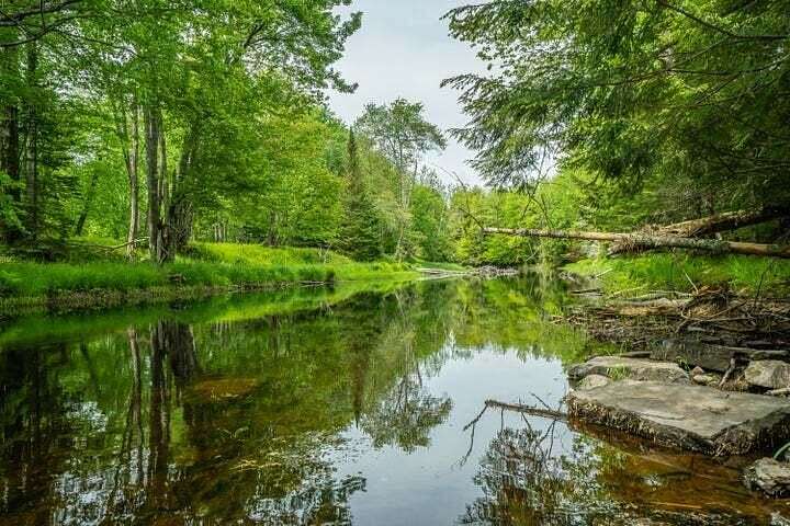 17.5 Acres of Land for Sale in Searsmont, Maine