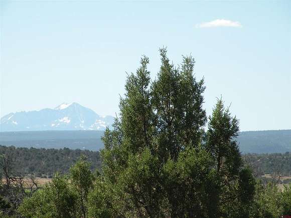 40 Acres of Land for Sale in Redvale, Colorado