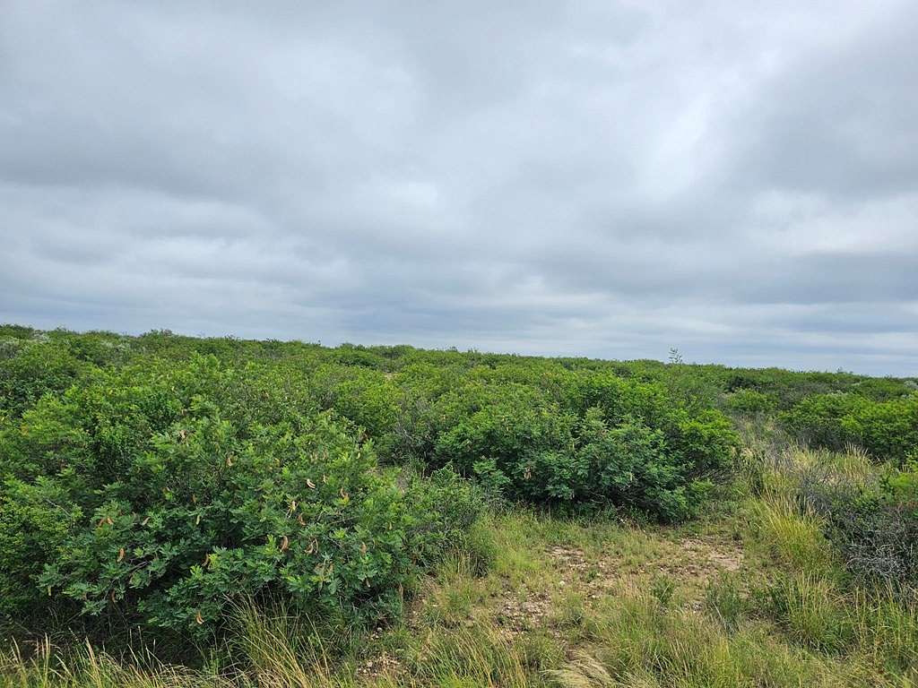 20.349 Acres of Land for Sale in Eagle Pass, Texas