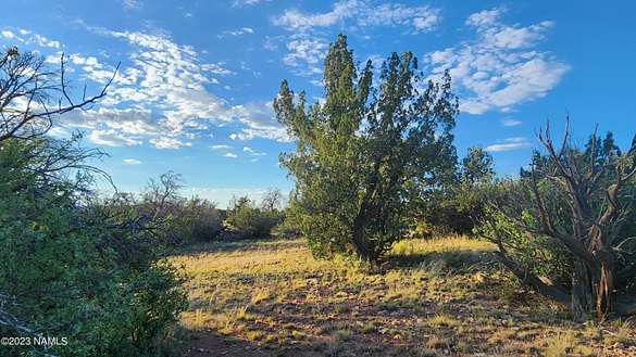 36.7 Acres of Land for Sale in Williams, Arizona