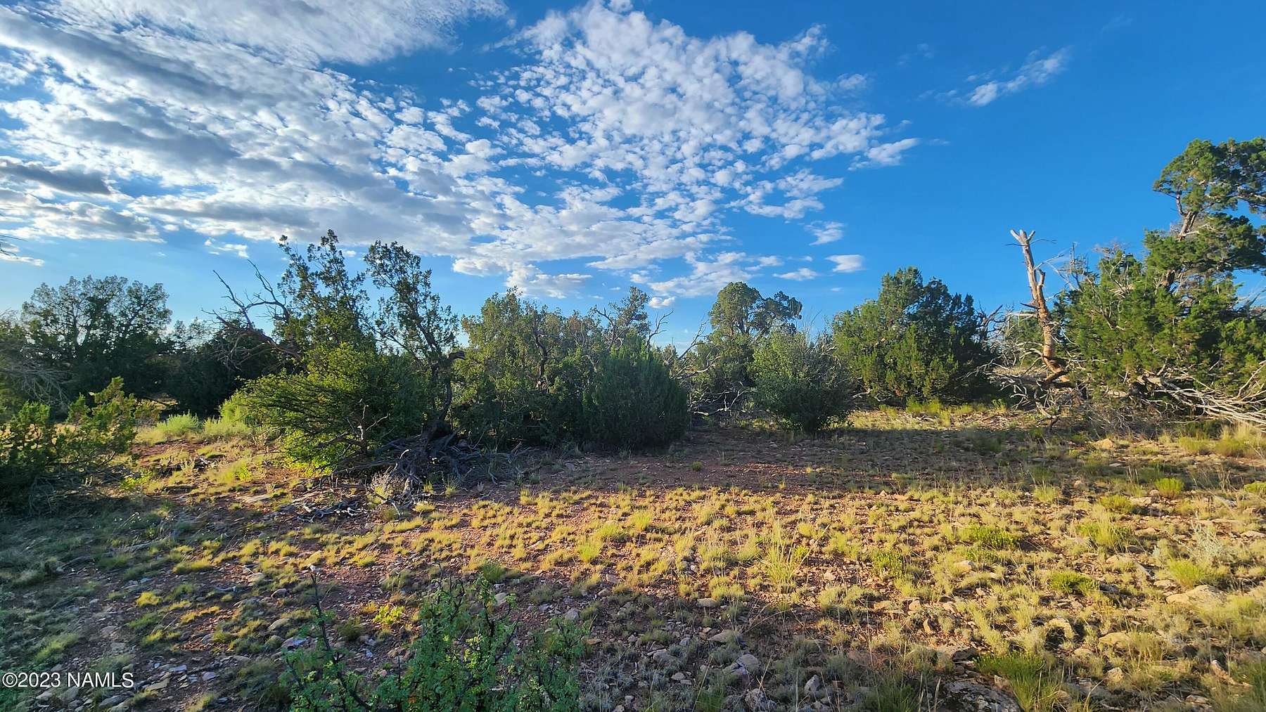 40.4 Acres of Recreational Land for Sale in Williams, Arizona