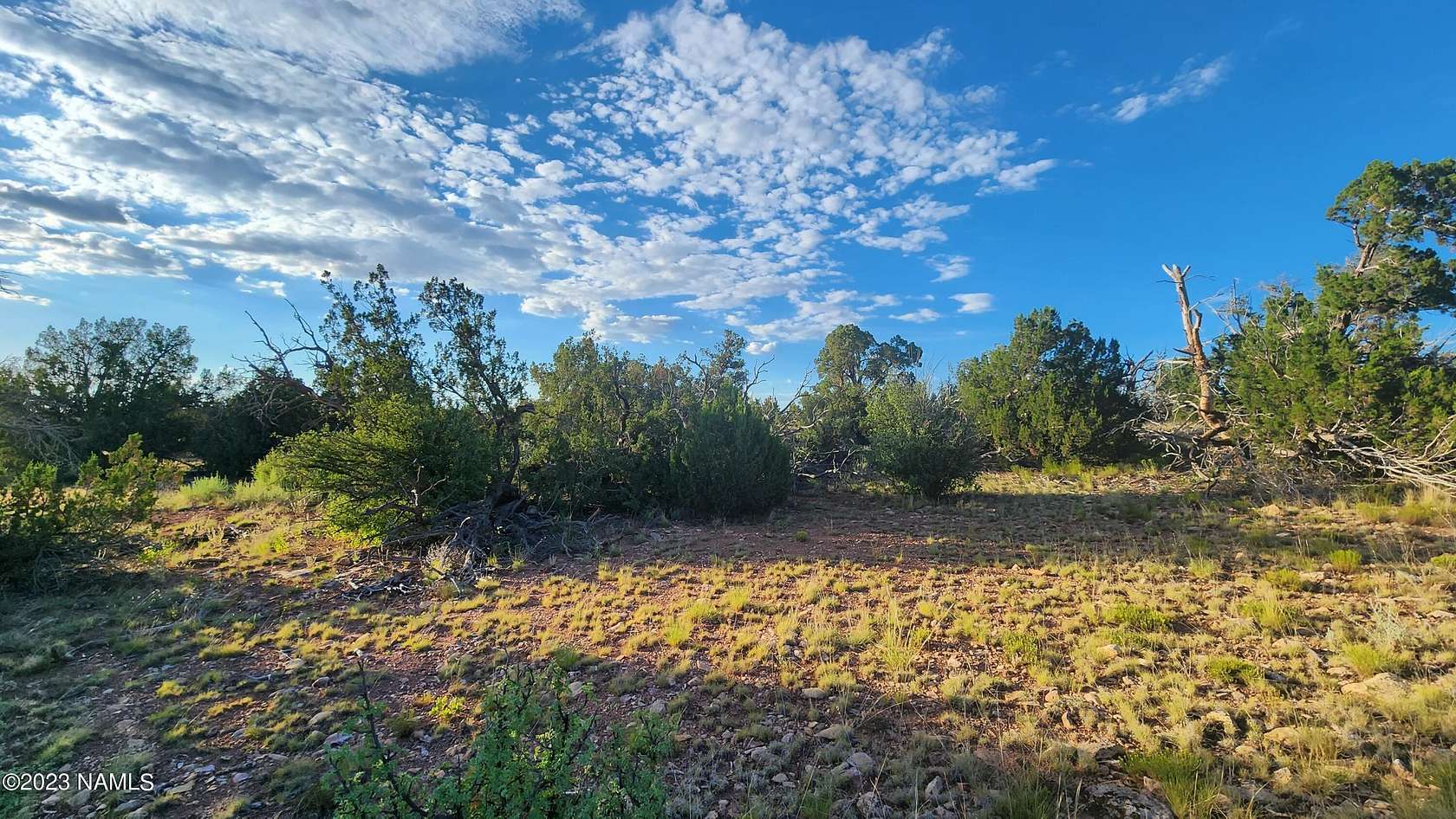 40.36 Acres of Recreational Land for Sale in Williams, Arizona