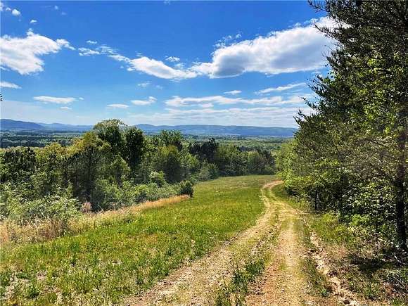 144 Acres of Land for Sale in Calhoun, Georgia