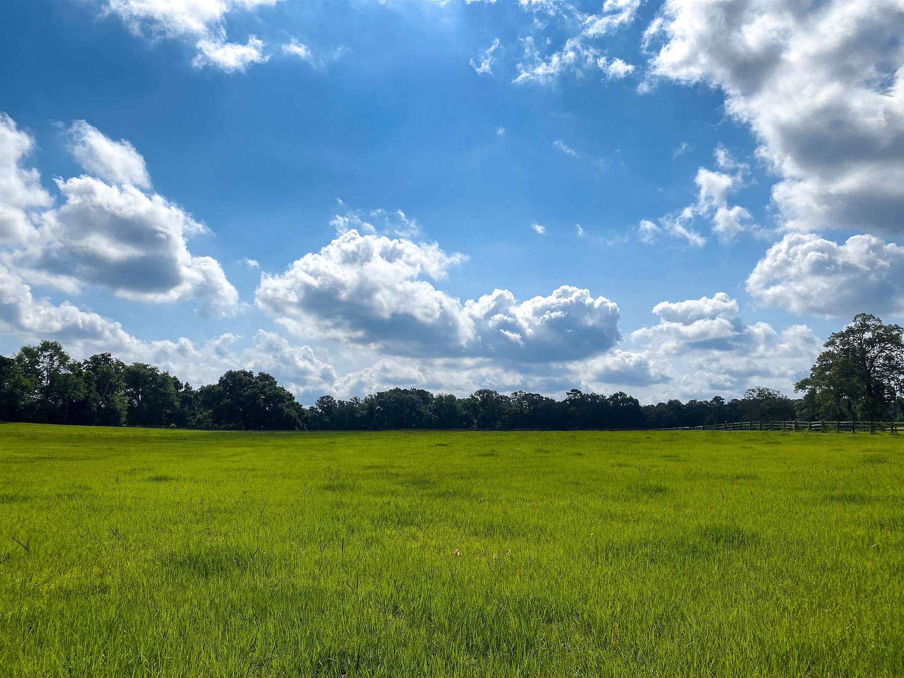 2.9 Acres of Residential Land for Sale in Tallahassee, Florida