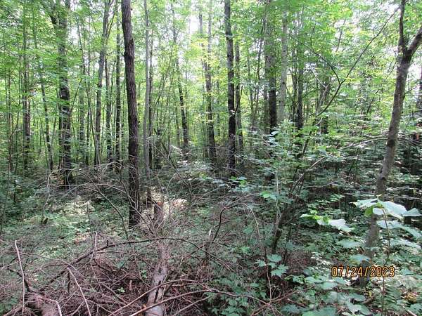 6 Acres of Land for Sale in Phillips, Wisconsin