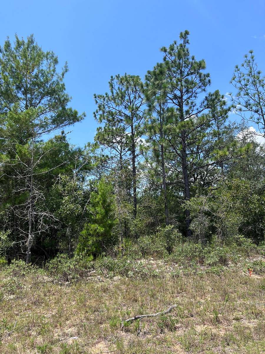 0.23 Acres of Land for Sale in Chipley, Florida