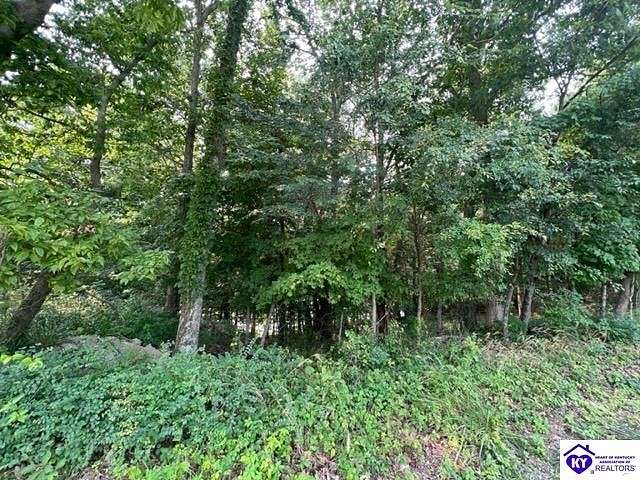 1.3 Acres of Residential Land for Sale in Falls of Rough, Kentucky