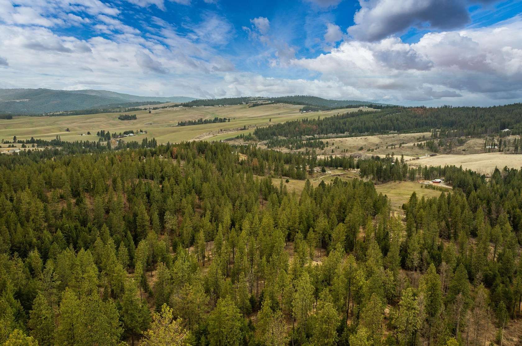 20 Acres of Recreational Land for Sale in Mica, Washington