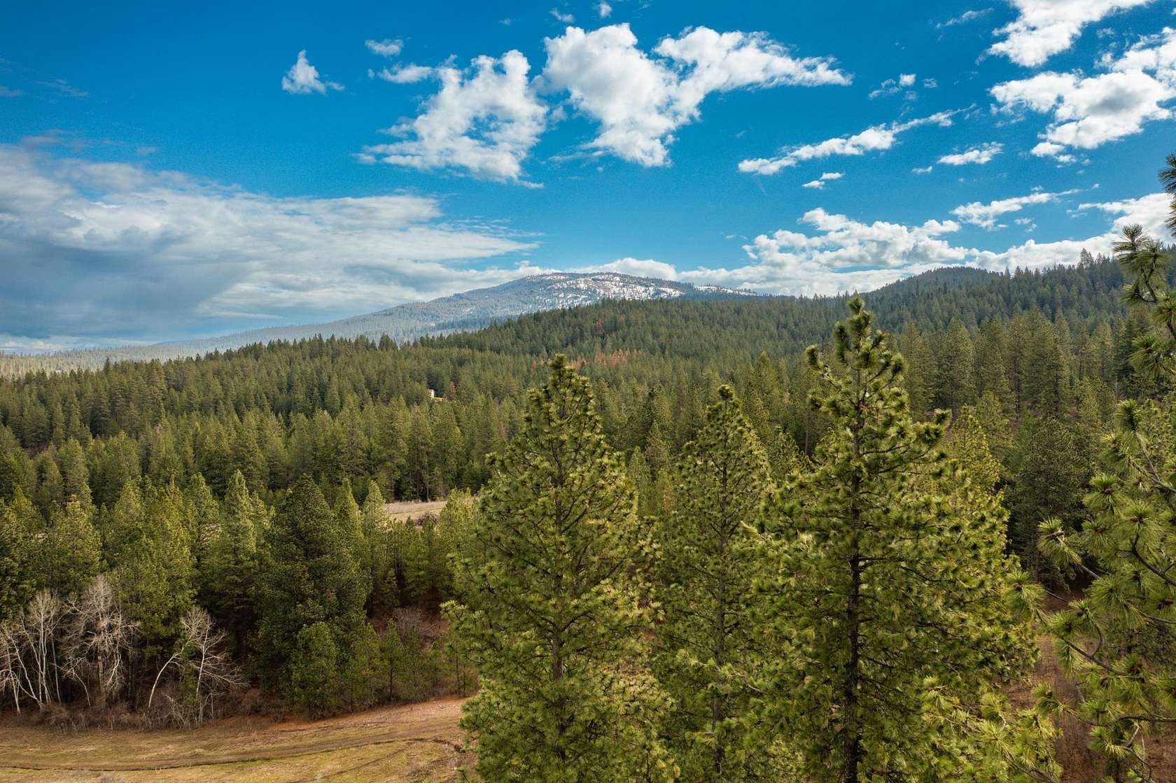 20 Acres of Recreational Land for Sale in Mica, Washington