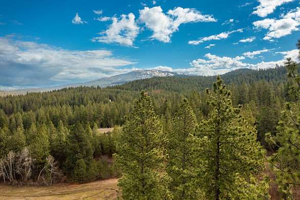 20 Acres of Land for Sale in Mica, Washington