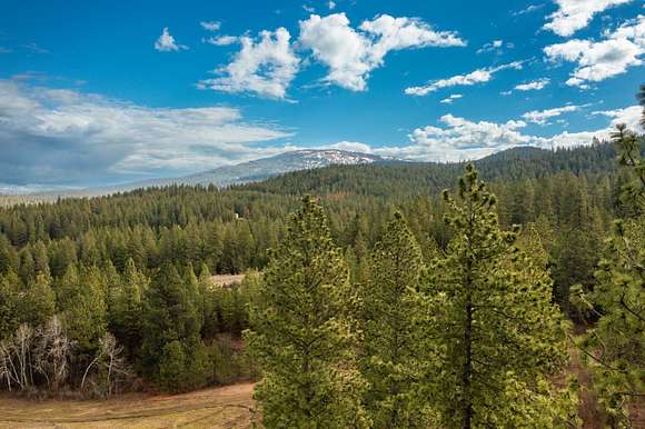 20.03 Acres of Recreational Land for Sale in Mica, Washington