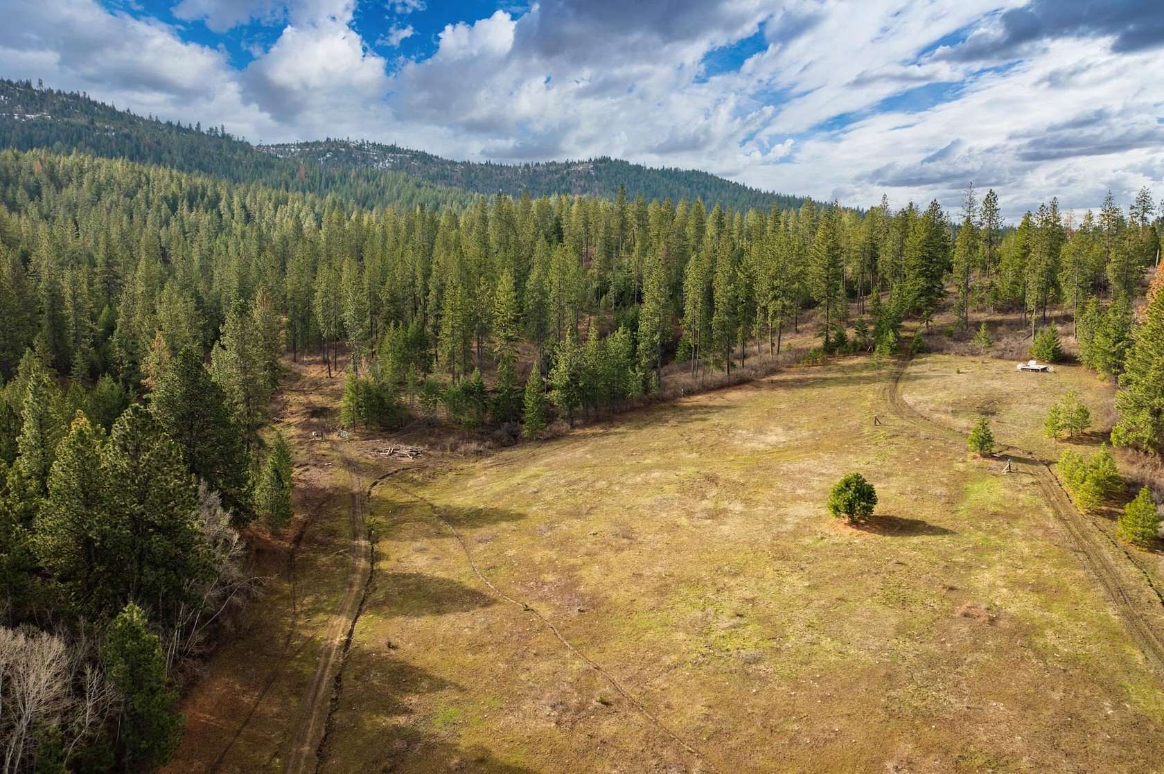 20.03 Acres of Recreational Land for Sale in Mica, Washington