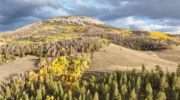 860 Acres of Recreational Land & Farm for Sale in Gunnison, Colorado