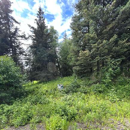 1.48 Acres of Residential Land for Sale in Ninilchik, Alaska