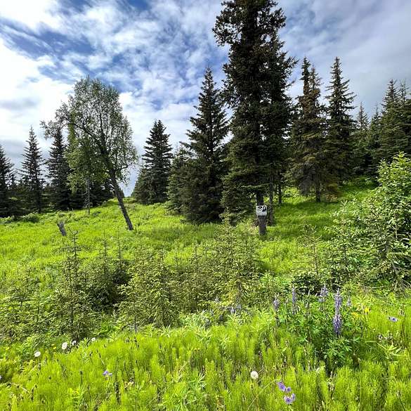 1 Acre of Residential Land for Sale in Ninilchik, Alaska