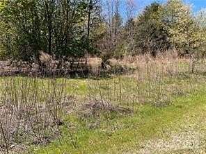 4 Acres of Land for Sale in Rutherfordton, North Carolina