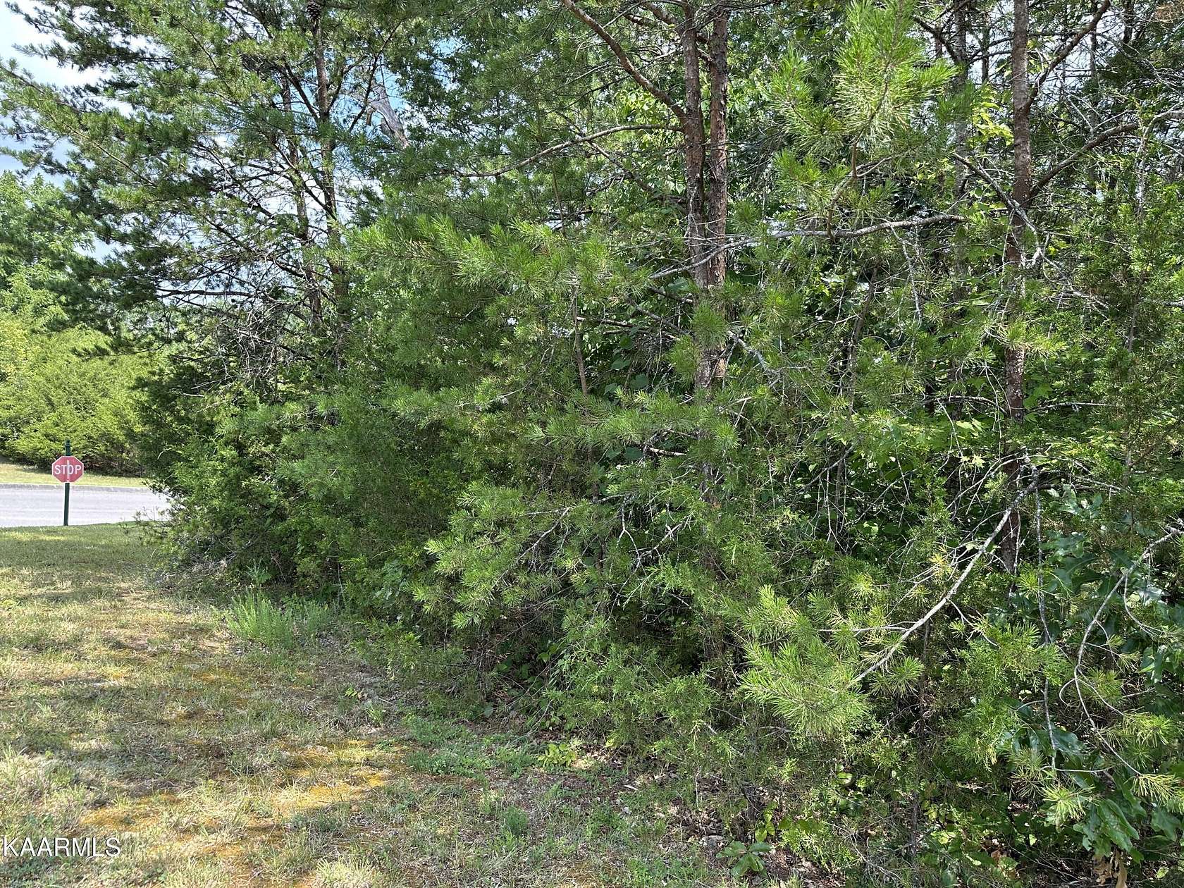 0.33 Acres of Residential Land for Sale in Tazewell, Tennessee