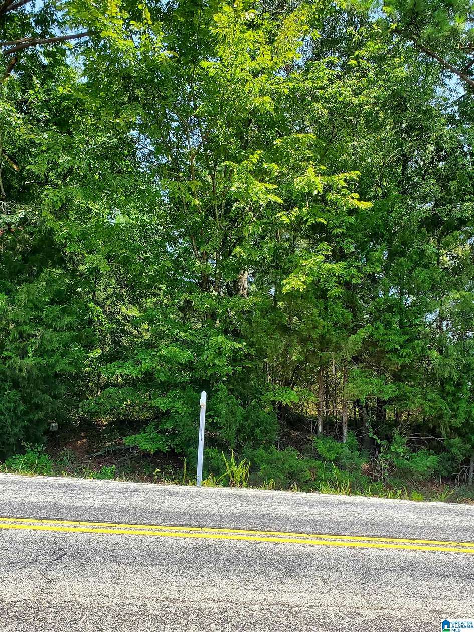 0.31 Acres of Residential Land for Sale in Lincoln, Alabama
